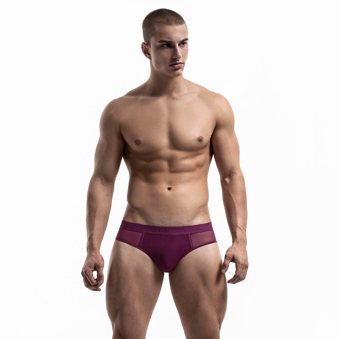 Sheer Low Rise Brief Perrie Purple - C - IN2 New York